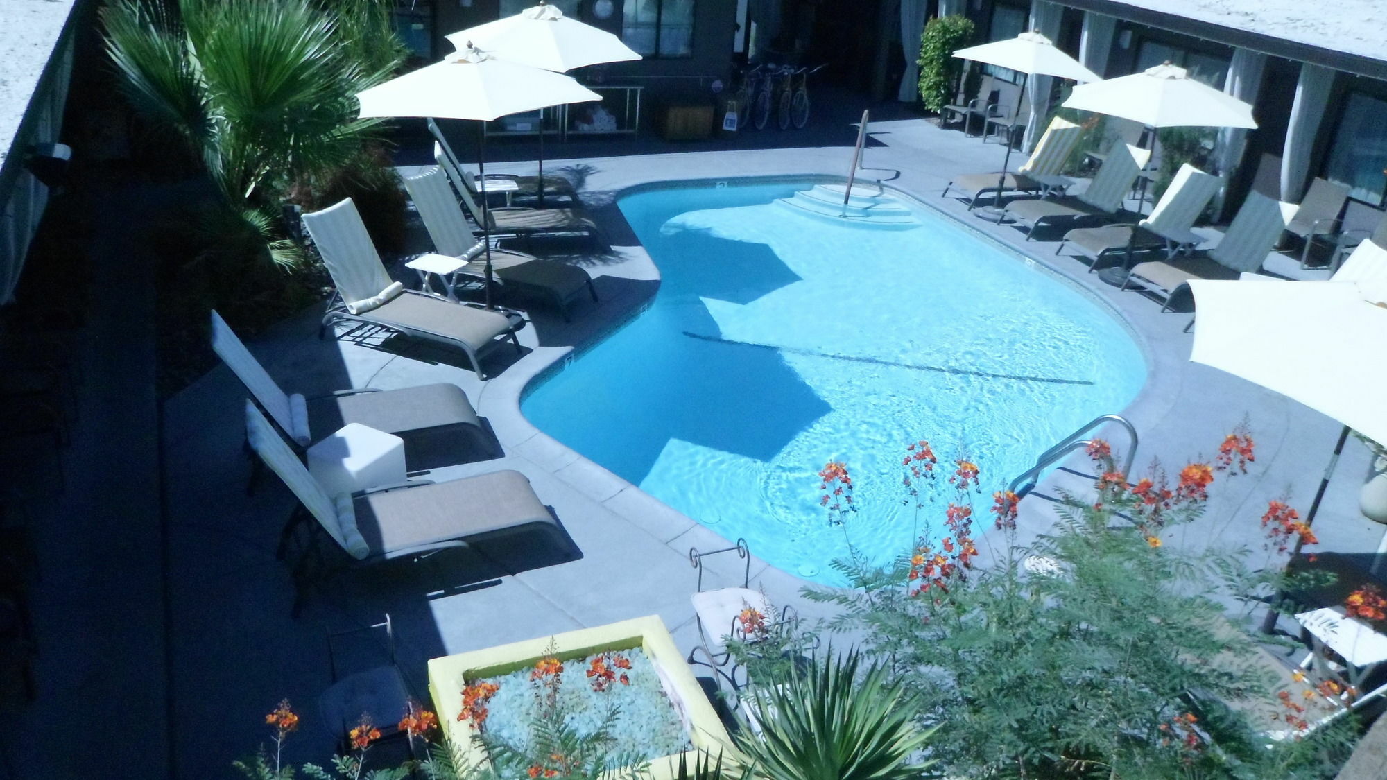 Avanti Hotel Palm Springs Exterior foto